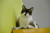 IMGP3522