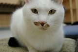 IMGP3565
