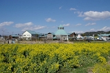 IMGP3608