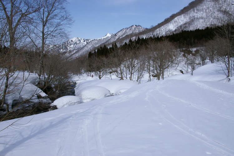 IMGP3919.jpg