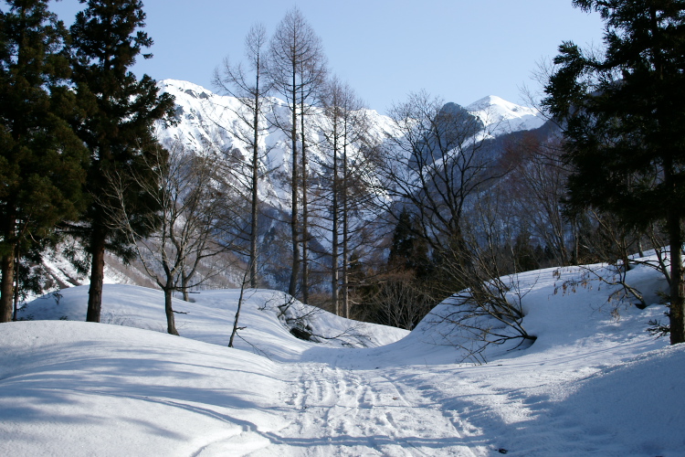 IMGP3974.jpg