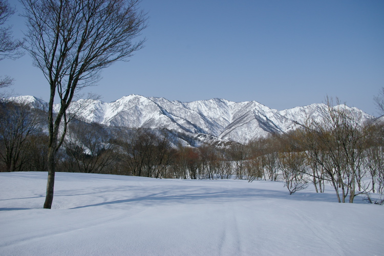 IMGP3997.jpg