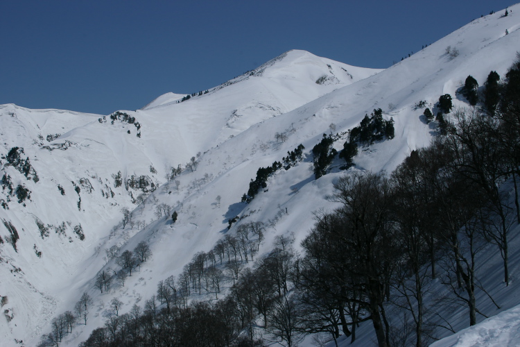 IMGP4019.jpg