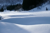 IMGP3969