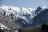 IMGP3980