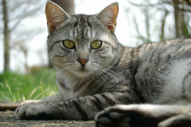 IMGP4295.jpg