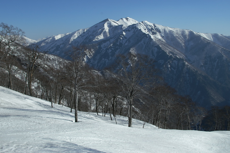 IMGP4348.jpg