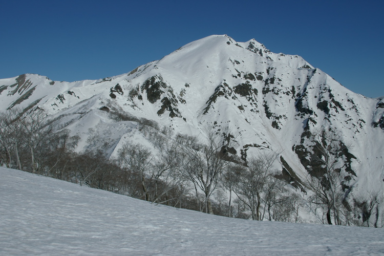 IMGP4353.jpg