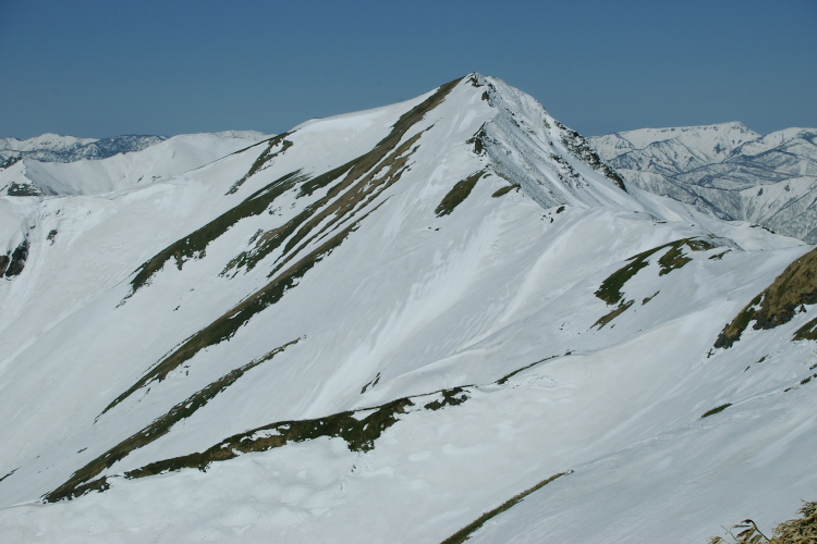 IMGP4396.jpg