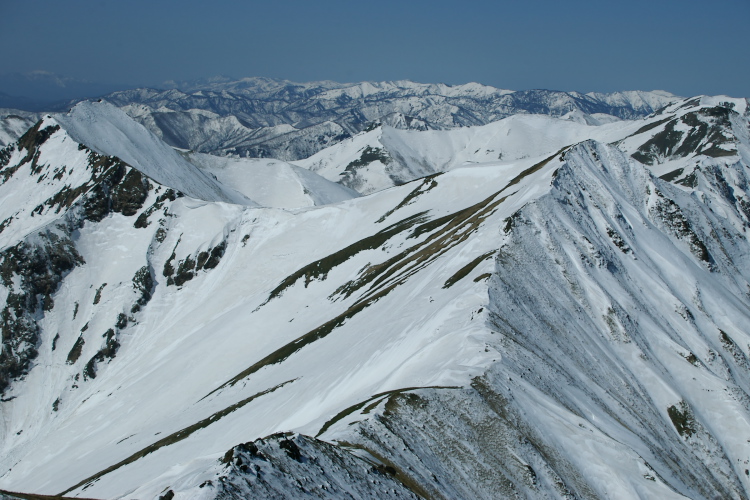 IMGP4422.jpg