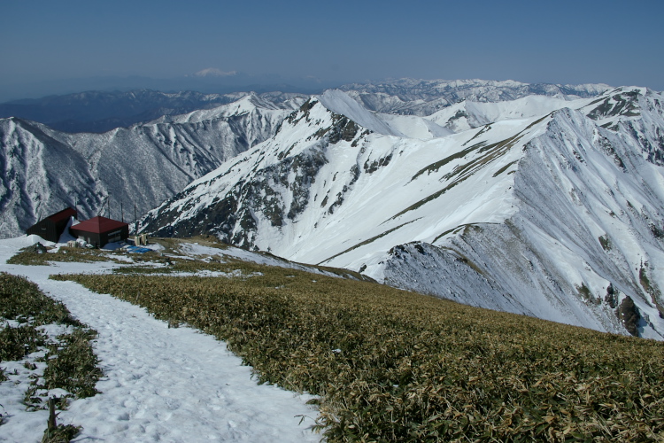 IMGP4426.jpg