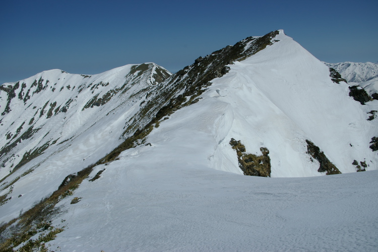 IMGP4435.jpg