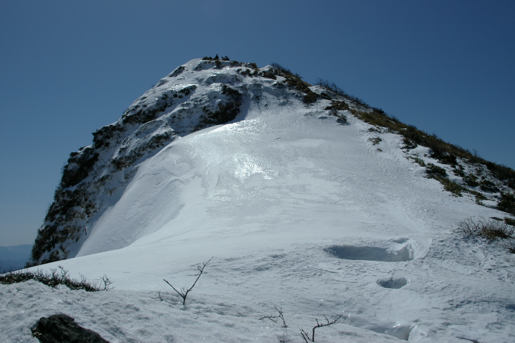 IMGP4440.jpg