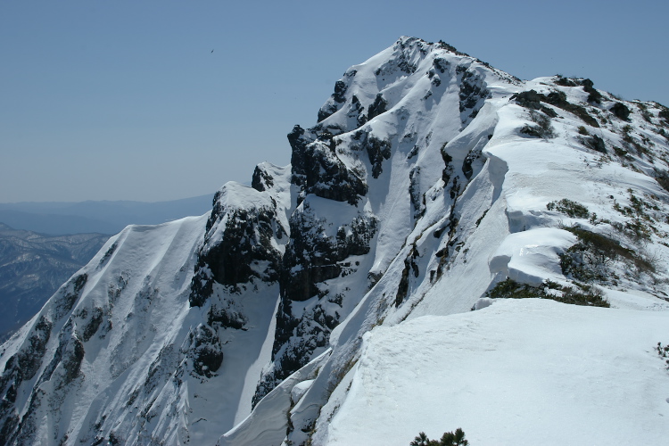 IMGP4505.jpg