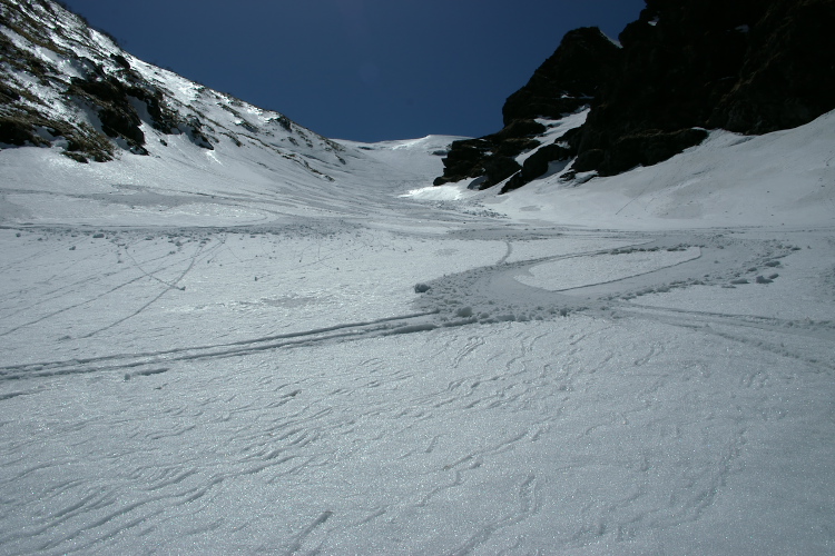 IMGP4572.jpg