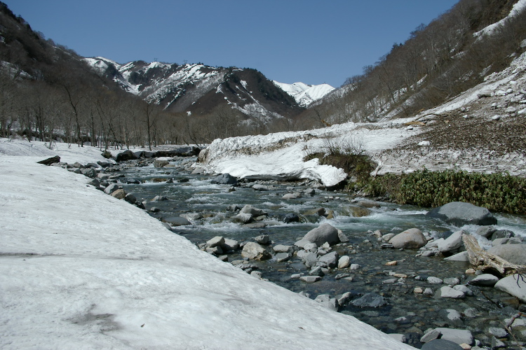 IMGP4612.jpg