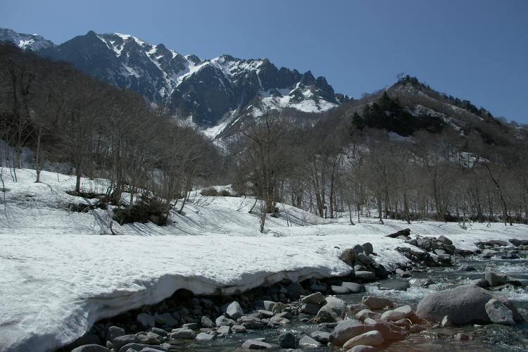 IMGP4616.jpg