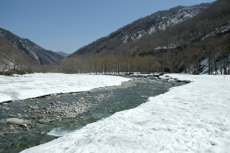 IMGP4621.jpg