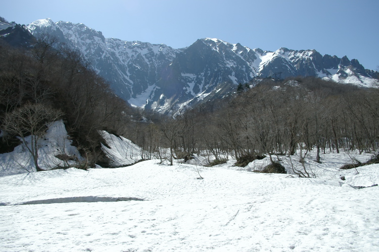 IMGP4623.jpg