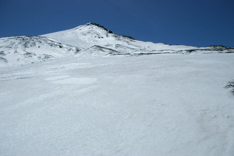 IMGP4829.jpg