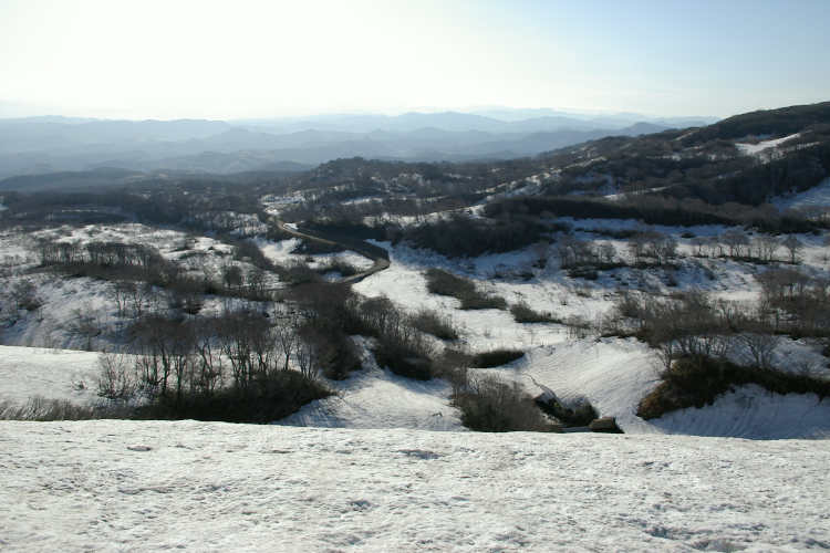 IMGP4953.jpg