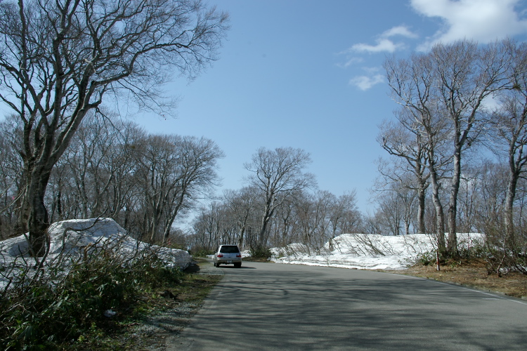 IMGP5025.jpg