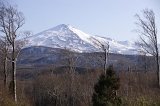 IMGP4714