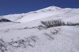 IMGP4764