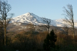 IMGP4914