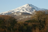 IMGP4918