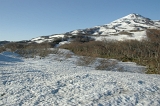 IMGP4951