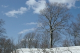 IMGP5026