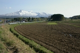 IMGP5041