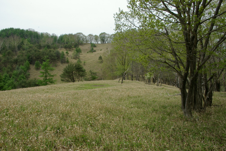 IMGP5328.jpg