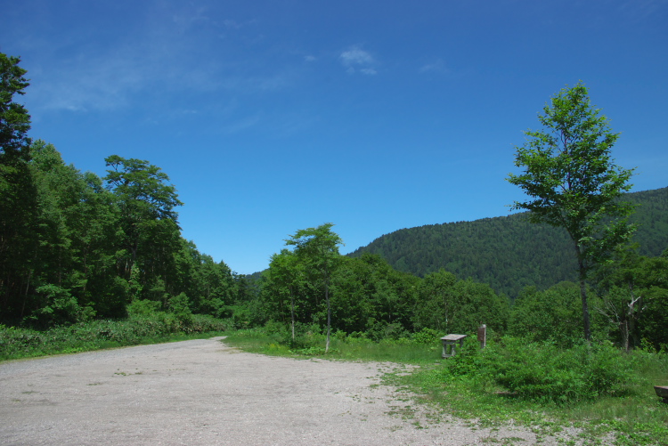 IMGP5524.jpg