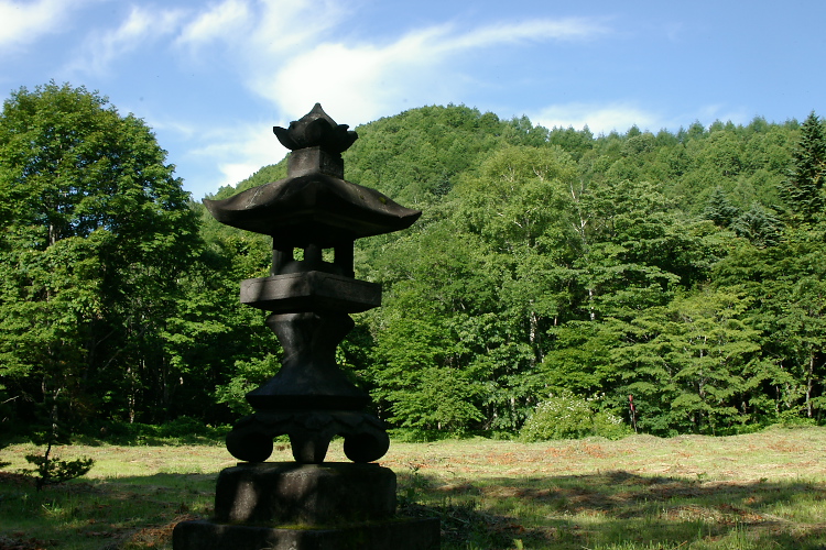 IMGP5565.jpg