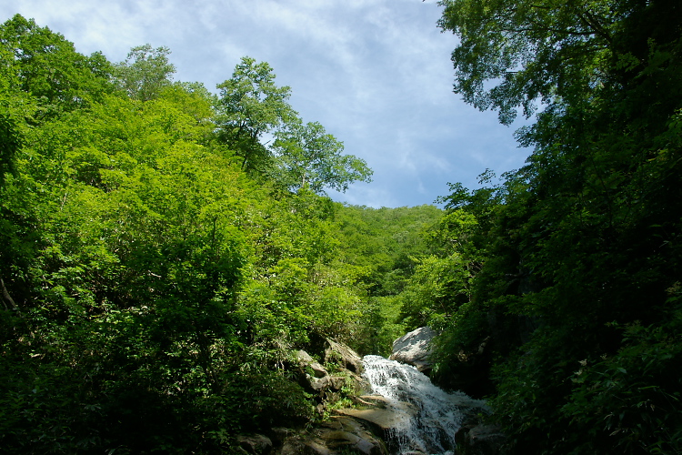 IMGP5576.jpg