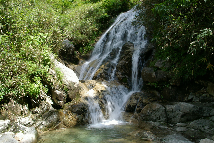 IMGP5577.jpg