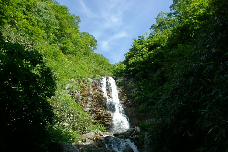 IMGP5587.jpg