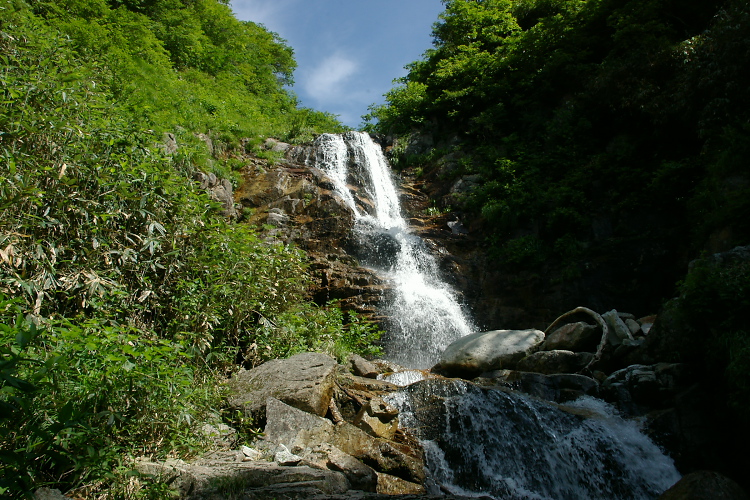 IMGP5592.jpg