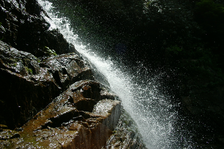 IMGP5604.jpg