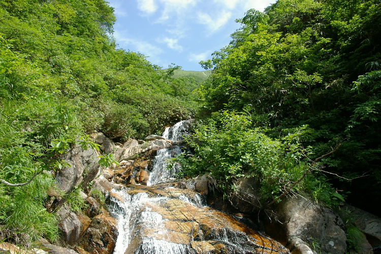 IMGP5612.jpg