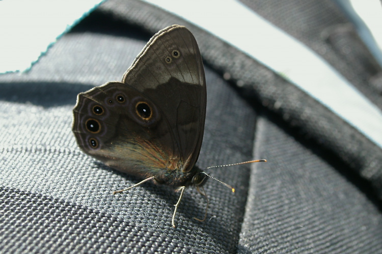 IMGP5617.jpg