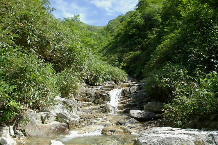 IMGP5618.jpg