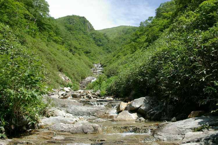 IMGP5632.jpg