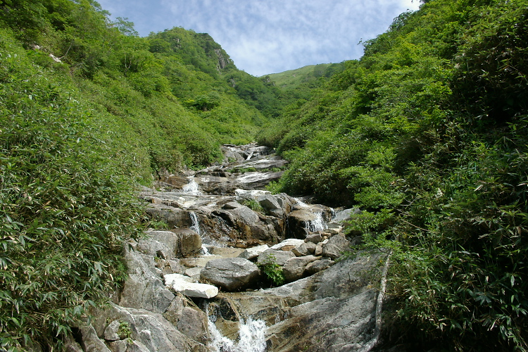 IMGP5642.jpg