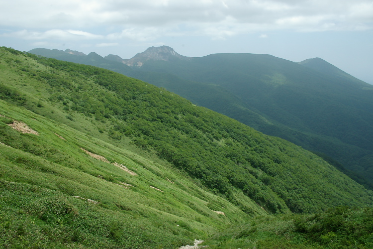 IMGP5664.jpg
