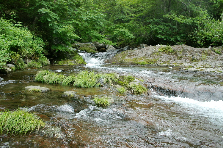 IMGP5681.jpg