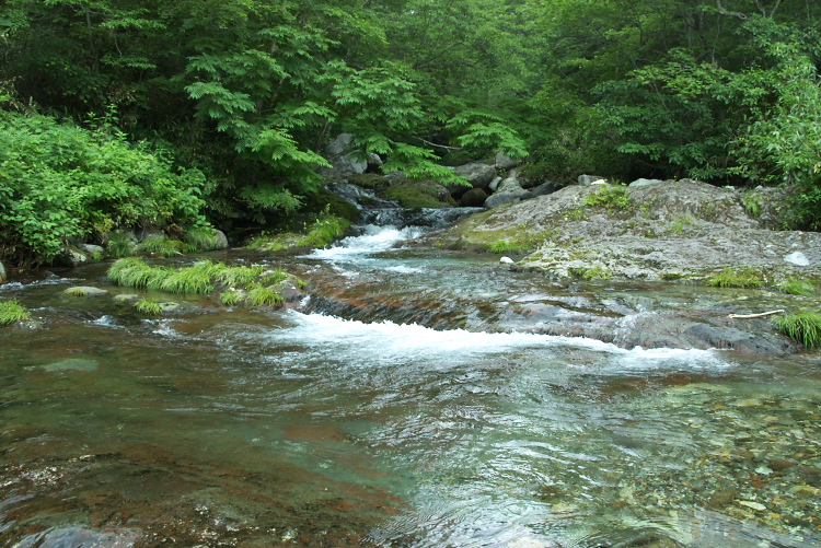 IMGP5689.jpg