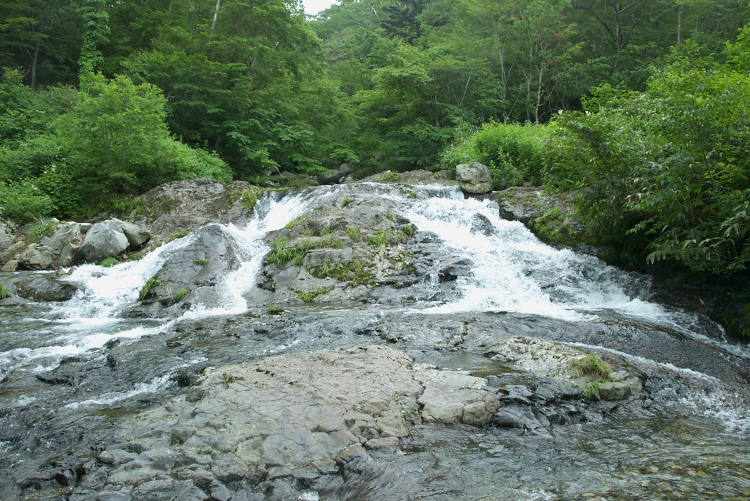 IMGP5690.jpg